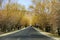 Autumn highway, yellow trees, yellow mountains, beautiful scenery