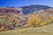 Autumn hill with colorful trees