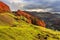 Autumn hillside with pine and Colorful foliage aspen trees near