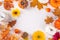 Autumn holidays background