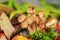 Autumn honey mushrooms. Close up composition. Selective focus