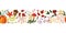 Autumn horizontal banner with fall colorful plants and leaves .