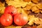 Autumn horizontal banner with yellow leaves, orange pumpkins on a wooden textured backdrop.