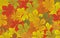 Autumn horse-chestnut leaves vector background