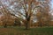 Autumn in Hyde Park, London