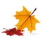 Autumn icon