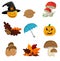 Autumn icon set