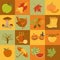 Autumn icon set. Halloween and Thanksgiving day. Flat design