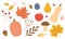 autumn icons collection: pumpkin, leaves, apple, pear, plum, acorn, berries, musroom and others floral elements