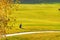 Autumn idyllic golf course with golf equipment bag