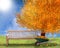 Autumn illustration or background fall landscape with garden sofa tree and wheelbarrow