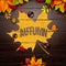 Autumn Illustration with Colorful Leaves and Chestnut and Lettering on Vintage Wood Background. Autumnal Vector Design