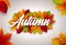 Autumn Illustration with Colorful Leaves and Lettering on Clear Background. Autumnal Vector Design for Greeting Card