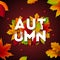 Autumn Illustration with Falling Leaves and Lettering on Dark Red Background. Autumnal Vector Design for Greeting Card