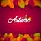 Autumn Illustration with Falling Leaves and Lettering on Red Background. Autumnal Vector Design with Hand Drawn Doodles