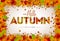 Autumn Illustration with Falling Leaves and Lettering on White Background. Autumnal Vector Design for Greeting Card
