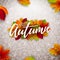 Autumn Illustration with Falling Leaves and Lettering on White Background. Autumnal Vector Design with Hand Drawn