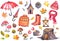 Autumn illustration of umbrellas, knitwear clothing, rubber boots, apples, mushrooms, cute owl, hedghog and colorful leaves.