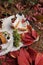 autumn image, slice of caramel cake, whipped cream and fruit, closeup,