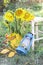 Autumn impression with sunflowers, yellow leaves, an old lantern and a vintage chair in a rural garden