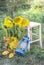 Autumn impression with sunflowers, yellow leaves, an old lantern and a vintage chair in a rural garden