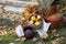 autumn installation basket pumpkins flowers apples and leaves