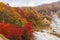 Autumn at Jigokudani hell valley, Hokkaido, Japan