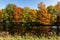Autumn on the Jizera River in Semily