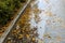 Autumn, juicy yellow leaves lie in a puddle on the pavement