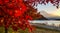 Autumn at Kawaguchiko lake