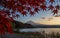 Autumn at Kawaguchiko lake