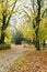 autumn in kortrijk  belgium with park benches