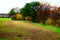 autumn on the Krahnenberg above Andernach