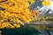 Autumn at lake Gosausee in Austria