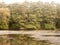 autumn lake horizon landscape zoomed in scene trees and water surface