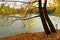 Autumn lake landscape, Uman, Cherkasy Oblast, Ukraine, Sofievka park