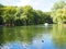 Autumn lake landscape view with ducks, fountain and oak trees