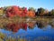 Autumn lake reflection