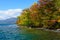 Autumn in the Lake Towada