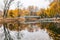 Autumn lake. Yellow foliage in autumn