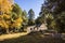 Autumn landscape in Aiguestortes and Sant Maurici National Park, Spain