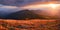 Autumn landscape. Amazing sunset enlightens surroundings. From the lawn in orange grass, a panoramic view of the high mountain.