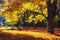 Autumn landscape. Autumn nature. Fall scene. Park covered by yellow foliage. Tranquil background. Colorful forest in sunlight