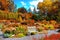 Autumn landscape. Beautiful colorful autumn city park with white benches