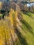 : Autumn landscape with beautiful and colorful trees, beautiful long shadows, top view