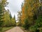 Autumn landscape with beautiful and colorful trees, road, cloudy autumn day