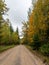 Autumn landscape with beautiful and colorful trees, road, cloudy autumn day