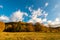 Autumn landscape, beautiful deciduous woods at late autumn