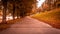 Autumn landscape with a beautiful road with ellow trees