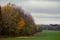 Autumn landscape: border of forest and field. yellow leaves